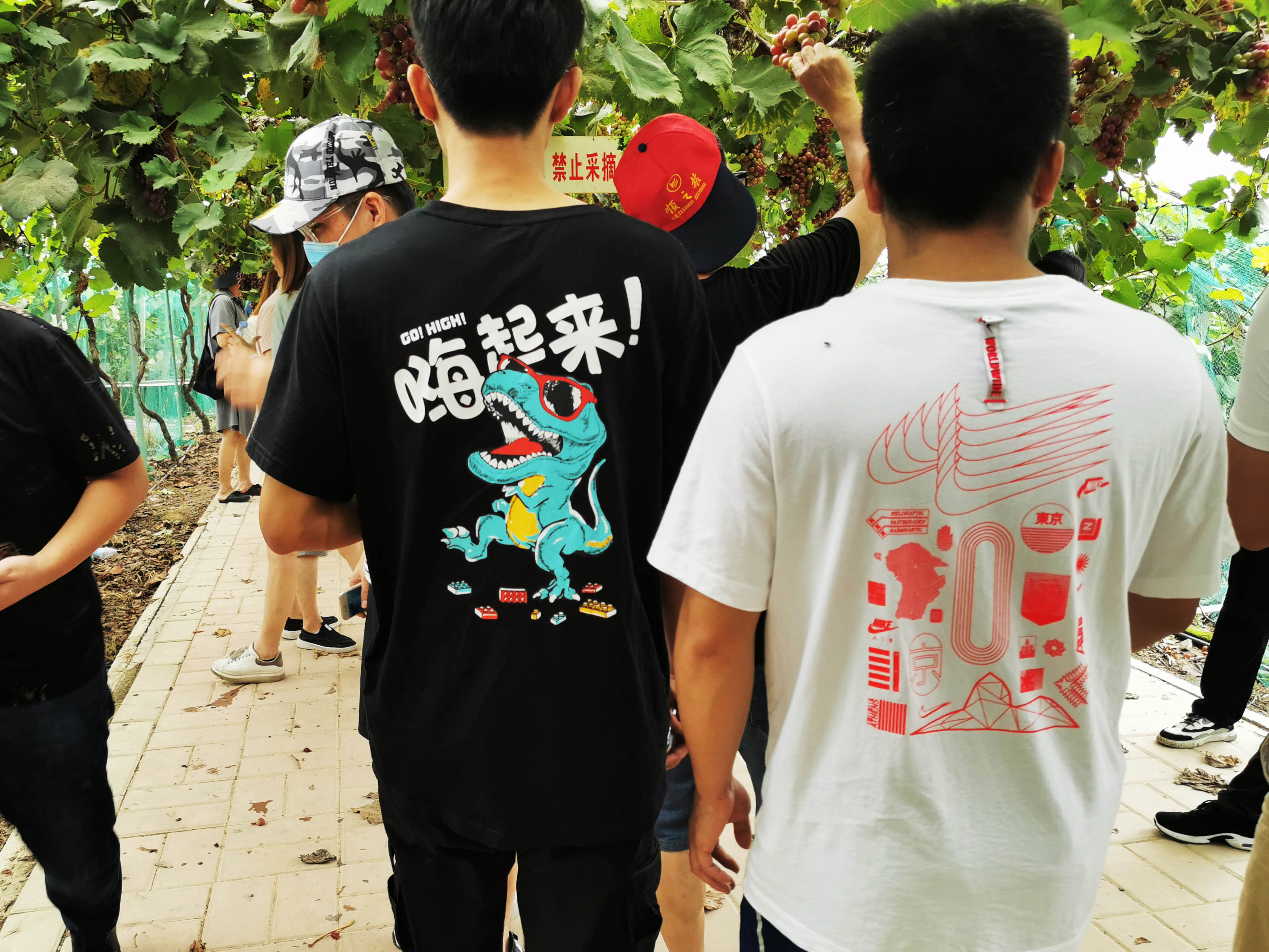7微信图片_20200922082718.jpg
